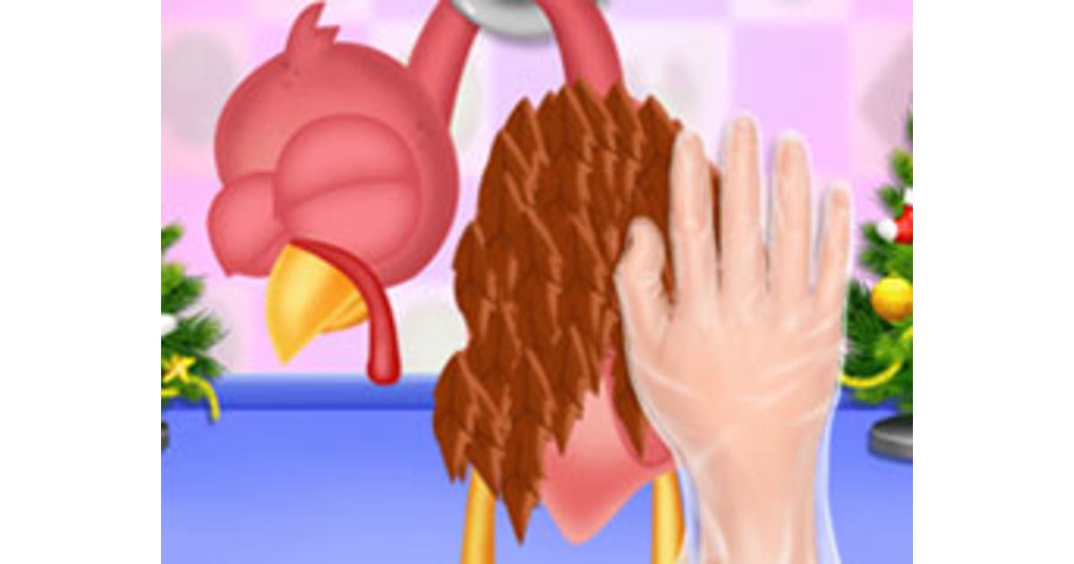 Christmas Turkey Cooking