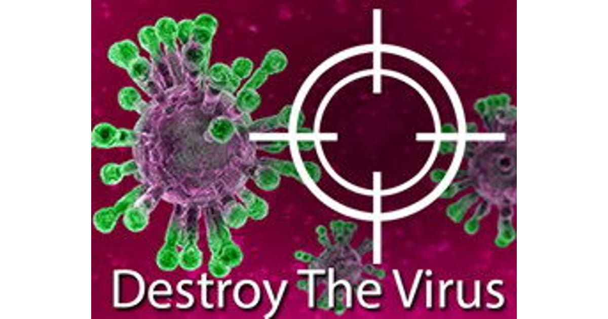 Destroy The Virus