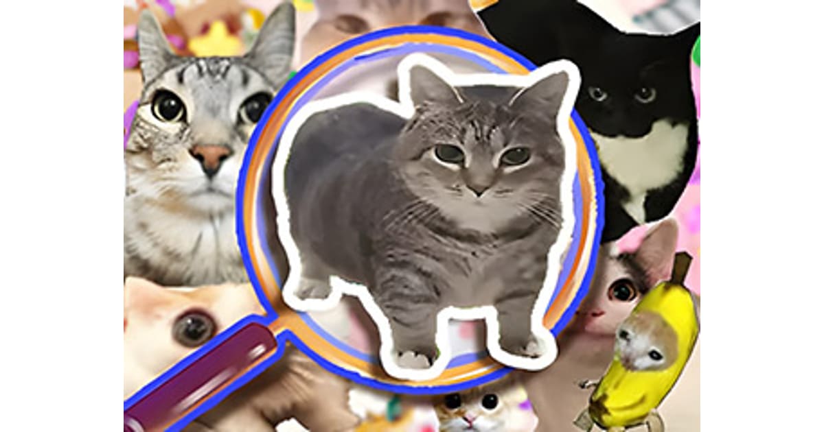 Find It Out Oiiai Cat