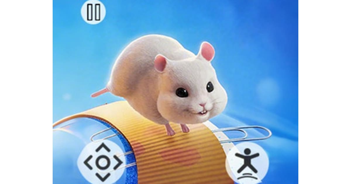 Hammer Playground Maze