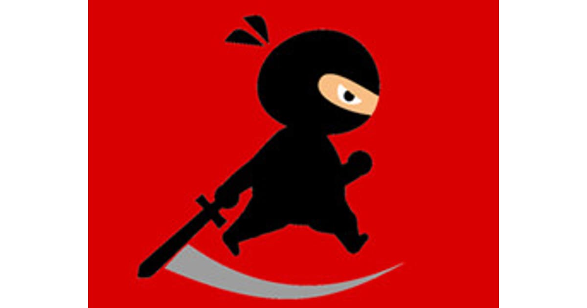 Mr Ninja Fighter