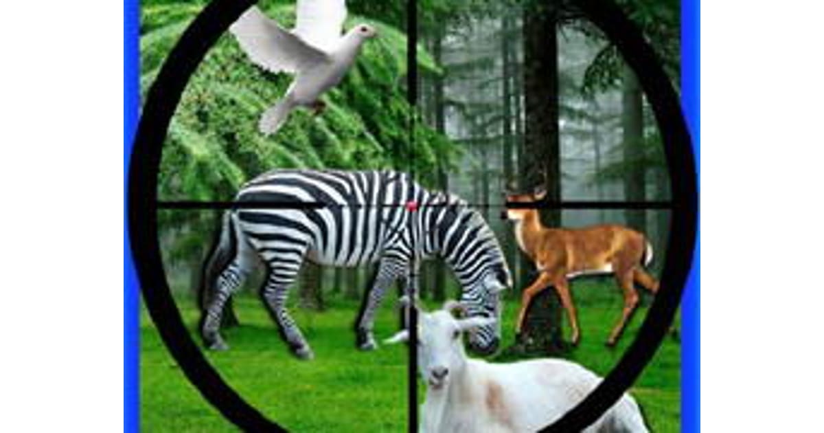 Real Jungle Animals Hunting